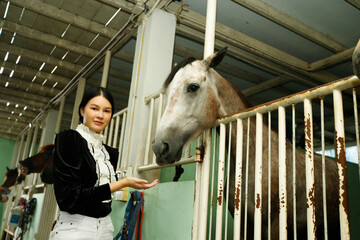 Young 20s Asian woman in horse riding suit with beautiful animal outdoors. Female feed food carrot