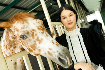 Young 20s Asian woman in horse riding suit with beautiful animal outdoors. Female feed food carrot