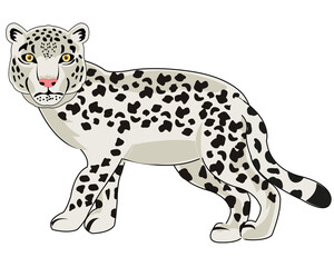 Vector illustration of the wildlife snow snow leopard cartoon