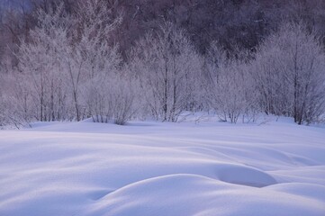 雪国の朝　冬の朝の光景