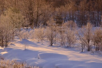 雪国の朝　冬の朝の光景