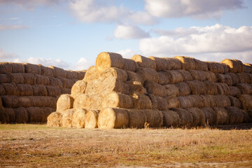 Big pile of rolled hay stacks put on each other looking like pyramid with few clouds on clear blue sky in background. Golden hay harvest season. Hay art.