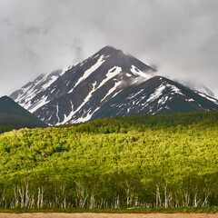 Volcanoes of Kamchatka and mountains against the backdrop of a beautiful forest. Kamchatka Peninsula, Russia. Travel and tourism in the natural park