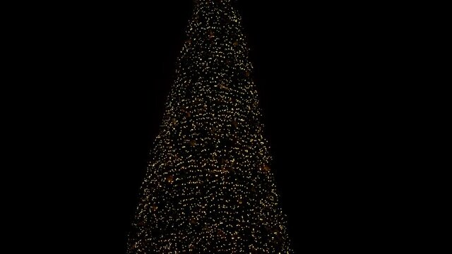 Holiday. A large outdoor Christmas tree with Christmas toys and a star on a peak sparkles with yellow lights of garlands. New Year's paraphernalia and decoration