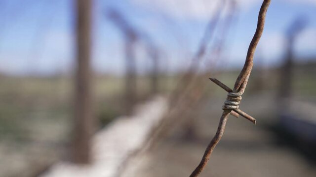 Abstract close-up of a rusty barded wire outdoors.