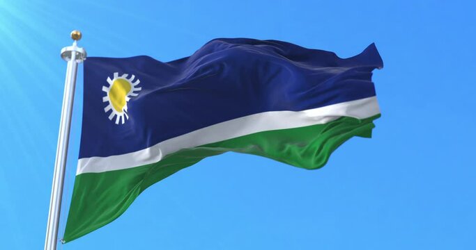 Portuguesa State Flag, Venezuela. Loop