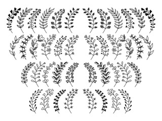 Set of branches with leaves. Collection of decorative floral elements. Natural herbs. Line Art. Vector illustration of botanical design isolated on white background. Decor for festive invitations.