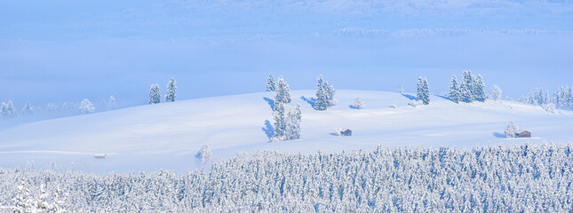 Idyllische Szenerie an einem eiskalten Wintertag im Ostallgäu