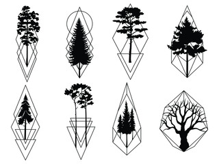 Set of silhouette tree. Collection of geometric silhouette of pine and fir tree. Wild nature. Camping logo. Woodland. Set of forest frame. Vector illustration of  woods on a white background.