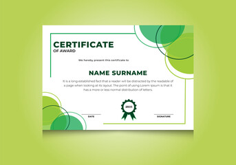 Professional Certificate. Certificate Of Appreciation Template Design.