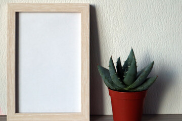 Mock up white frame with brown flower pot with succulent on white background.
