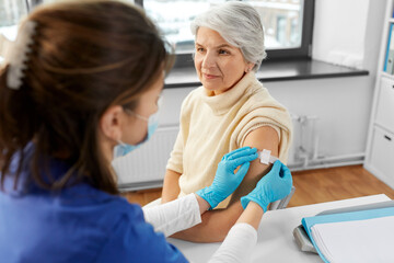 medicine, health and vaccination concept - doctor or nurse applying medical patch to vaccinated senior woman at hospital