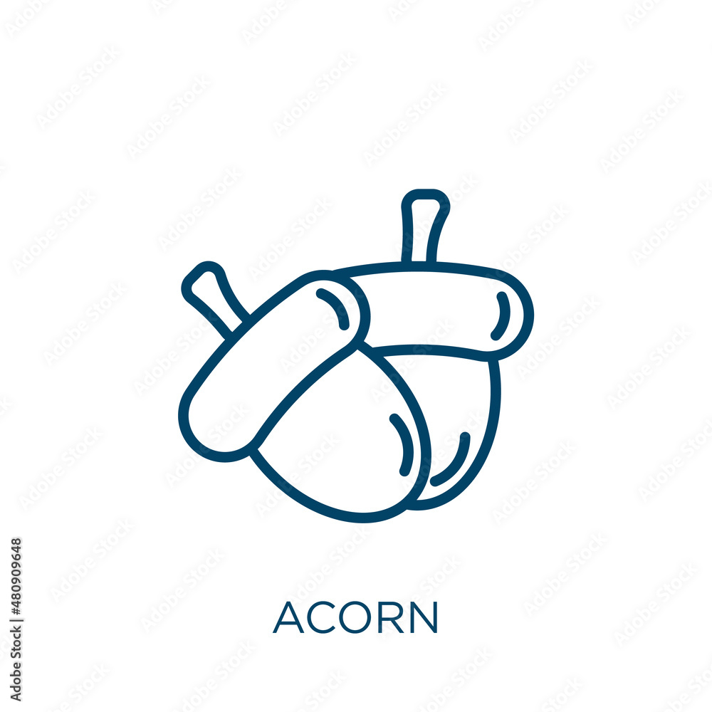 Poster acorn icon. thin linear acorn, nature, tree outline icon isolated on white background. line vector a