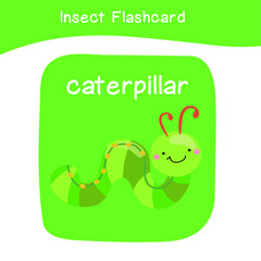 Insect name and cute cartoon image flashcard. Cute flashcards for preschool children. Educational printable game cards. Bugs collections. Colorful printable flashcard. Vector illustration.