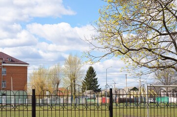 Сlear spring day on city street, branches with young greenery