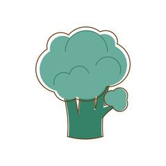 Vector illustration of broccoli. Broccoli in flat style. Illustration of vegetable.