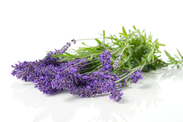 Aromatic Lavender flowers bundle on a white background. Isolated morning Lavender flowers close-up