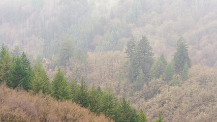 Cloudy day in the Belgium Ardennes,Le Hero,  La Roche en Ardenne Belgium.