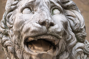 The lion is a symbol of security