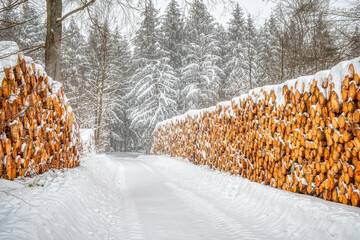 nachwachsender Rohstoff Holzpolter im verschneiten Winterwald