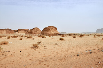 Fototapeta na wymiar Nature in the desert close Al Ula, Saudi Arabia