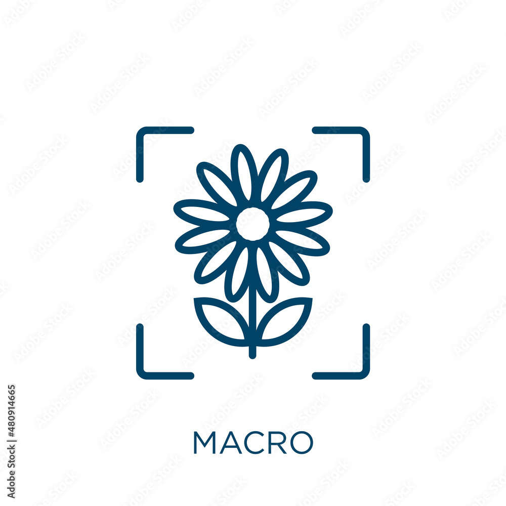 Poster macro icon. thin linear macro, digital, focus outline icon isolated on white background. line vector