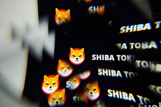 Milan, Italy - January 11, 2022: shiba inu - SHIB logo on laptop screen seen through an optical prism. Dynamic and unique image form shiba inu, SHIB coin website. Illustrative editorial.