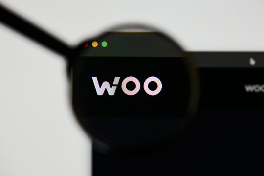 Milan, Italy - January 11, 2022: woo network - WOO website's hp.  woo network, WOO coin logo visible through a loope. Defi, ntf, cryptocurrency concepts illustrative editorial.