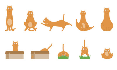 A set of illustrations of cute cats in different poses. 