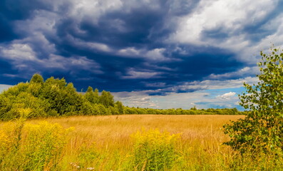 Autumn landscape with a field mown from cereals, straw rolls, a strip of forest and sky