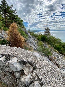 Rilke Weg Wanderweg bei Sistiana zwischen Duino und Triest in der Region Friaul-Julisch Venetien Italien 
