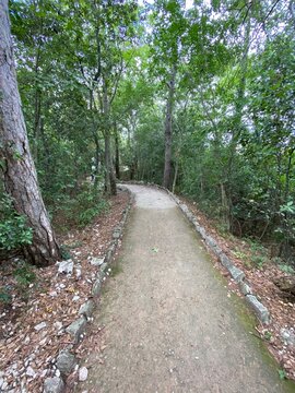 Rilke Weg Wanderweg bei Sistiana zwischen Duino und Triest in der Region Friaul-Julisch Venetien Italien 
