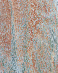 Eucalyptus trunk texture. Smooth wood without bark. Fullscreen