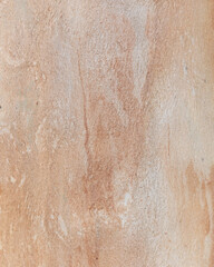 Eucalyptus trunk texture. Smooth wood without bark. Fullscreen