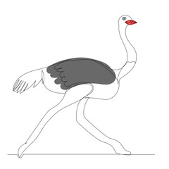 ostrich sketch drawing in one continuous line,vector