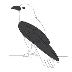 Fototapeta premium Raven sketch drawing by one continuous line,vector