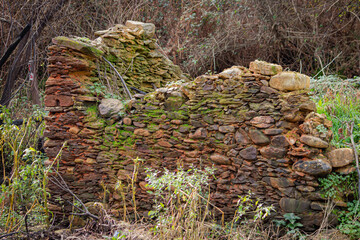 Vegetação e detalhes da Natureza as margens do Rio Mau, freguesia de S. Tiago em Sever do Vouga, Aveiro, Portugal. 