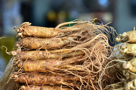 The fresh ginseng grown in Jinan-gun, Jeollabuk-do, Korea.