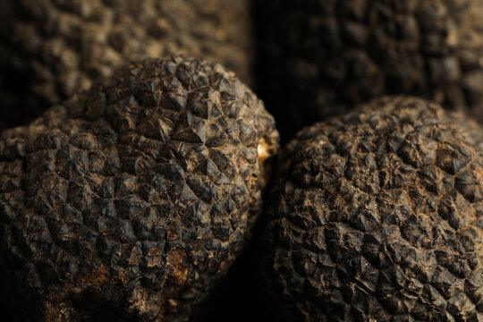 Closeup view of fresh whole black truffles