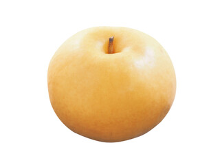  Snow pear or Fengsui pear
