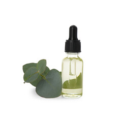 Bottle of eucalyptus essential oil and plant branch on white background