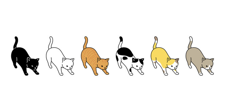 cat vector kitten calico icon breed neko character cartoon pet doodle illustration symbol design