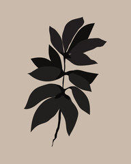 Black silhouette of branch on color background. Hand-draw abstract botanical design for print, cover, poster or wallpaper. Minimal and Natural Wall Art. Vector illustration. Vector illustration