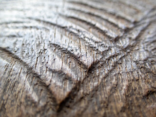 closeup selective focus Nice patterned wooden table surface with traces of wood cutting tools.