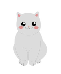 cute white fluffy cat with big eyes on a white background