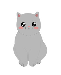 cute gray cat with big eyes sits on a white background