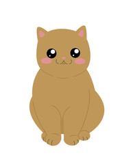 cute red fluffy cat with big black eyes sits on a bolm background