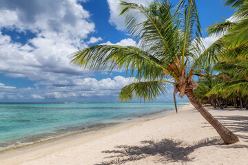 Naklejka na ściany i meble Paradise beach with white sand and coco palms. Summer vacation and tropical beach concept.