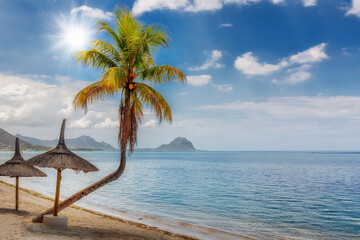 Palm trees in sunny tropical beach and turquoise sea in Mauritius island.