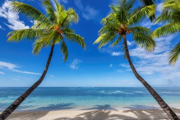 Crédence de cuisine en verre imprimé Le Morne, Maurice Plage paradisiaque avec sable blanc et cocotiers. Vacances d& 39 été et concept de plage tropicale.